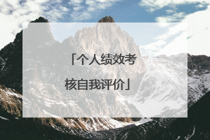 个人绩效考核自我评价