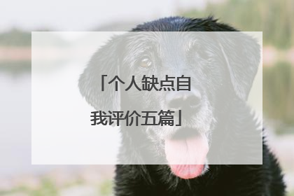 个人缺点自我评价五篇