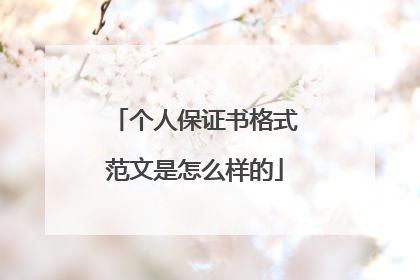 个人保证书格式范文是怎么样的