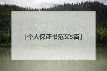 个人保证书范文5篇