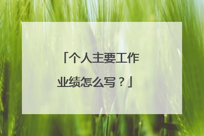 个人主要工作业绩怎么写?