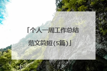 个人一周工作总结范文简短(5篇)