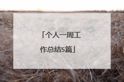 个人一周工作总结5篇