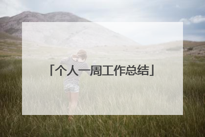 个人一周工作总结