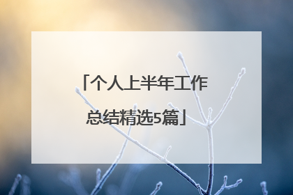 个人上半年工作总结精选5篇
