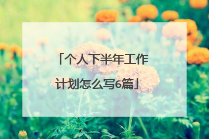 个人下半年工作计划怎么写6篇