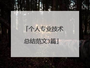 个人专业技术总结范文3篇