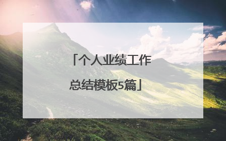 个人业绩工作总结模板5篇
