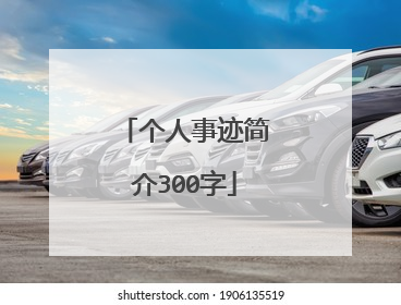 个人事迹简介300字