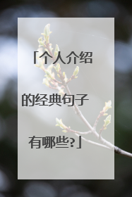 个人介绍的经典句子有哪些?