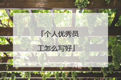 个人优秀员工怎么写好