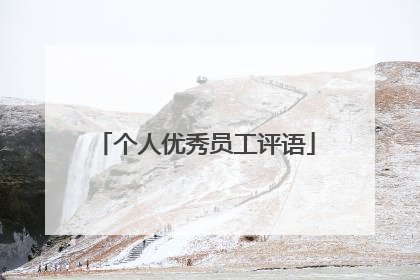 个人优秀员工评语