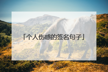 个人伤感的签名句子