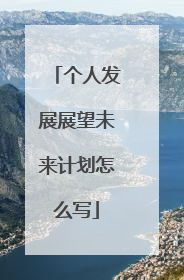 个人发展展望未来计划怎么写