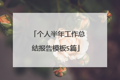 个人半年工作总结报告模板5篇