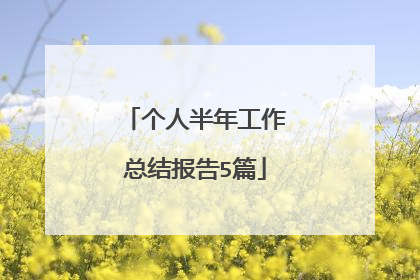 个人半年工作总结报告5篇