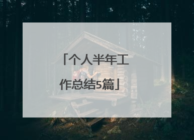 个人半年工作总结5篇