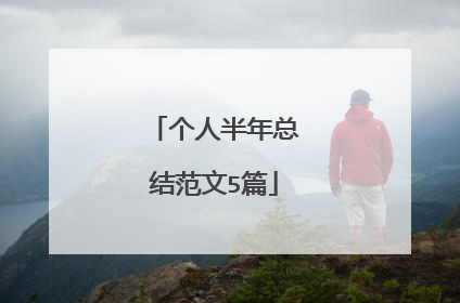 个人半年总结范文5篇