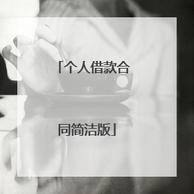 个人借款合同简洁版