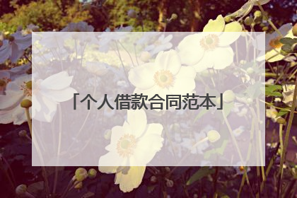 个人借款合同范本