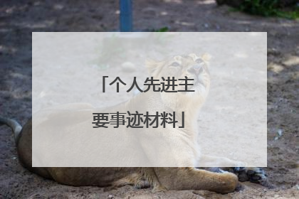 个人先进主要事迹材料