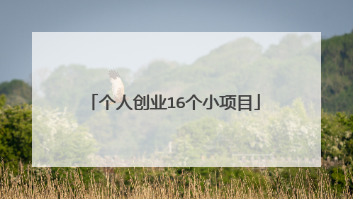 个人创业16个小项目