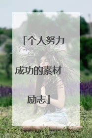 个人努力成功的素材励志