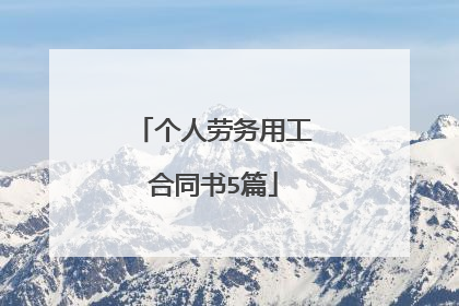 个人劳务用工合同书5篇