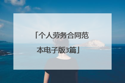 个人劳务合同范本电子版3篇