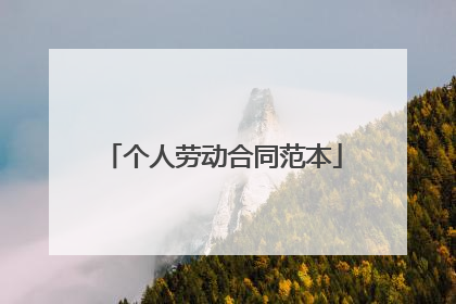 个人劳动合同范本