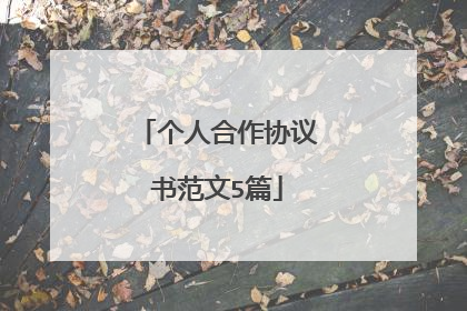 个人合作协议书范文5篇