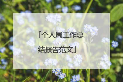 个人周工作总结报告范文