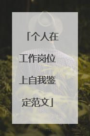 个人在工作岗位上自我鉴定范文