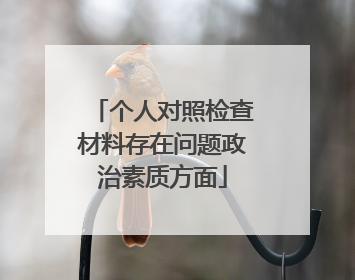 个人对照检查材料存在问题政治素质方面