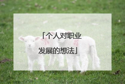 个人对职业发展的想法