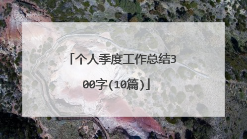 个人季度工作总结300字(10篇)