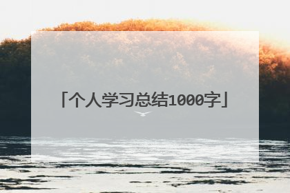 个人学习总结1000字