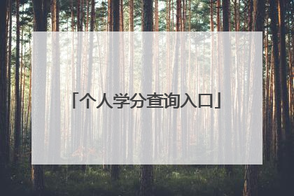 个人学分查询入口