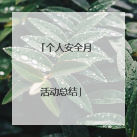 个人安全月活动总结