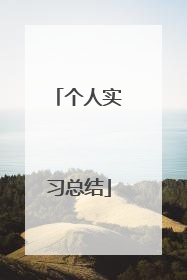 个人实习总结