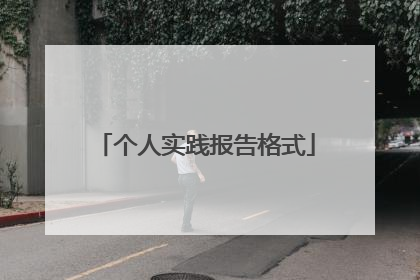 个人实践报告格式