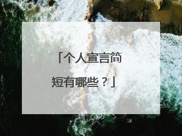 个人宣言简短有哪些?