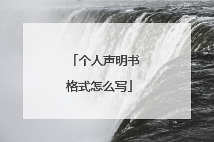 个人声明书格式怎么写