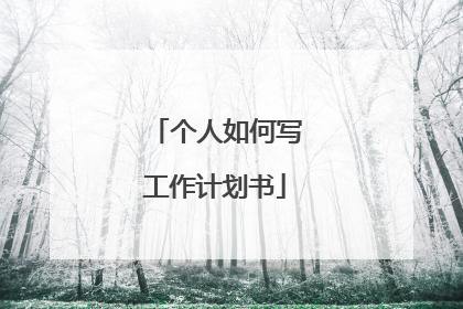 个人如何写工作计划书