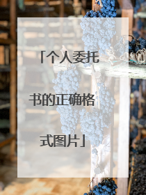 个人委托书的正确格式图片