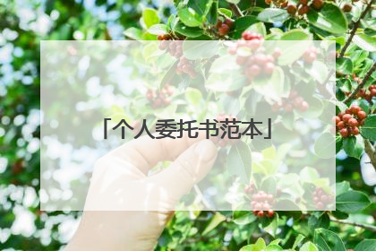 个人委托书范本