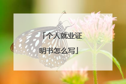 个人就业证明书怎么写