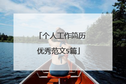 个人工作简历优秀范文5篇