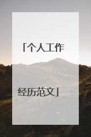 个人工作经历范文