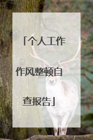 个人工作作风整顿自查报告